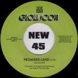 Gloria Scott – Promised Land b/w Instrumental – Acid Jazz UK 7″