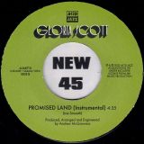Gloria Scott – Promised Land b/w Instrumental – Acid Jazz UK 7″