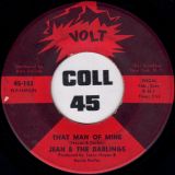 Jean & The Darlings – How Can You Mistreat The One You Love b/w That Man Of Mine – Volt 7″