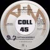 Captain Sensible – WOT! b/w Strawberry Dross – A&M NL 7″