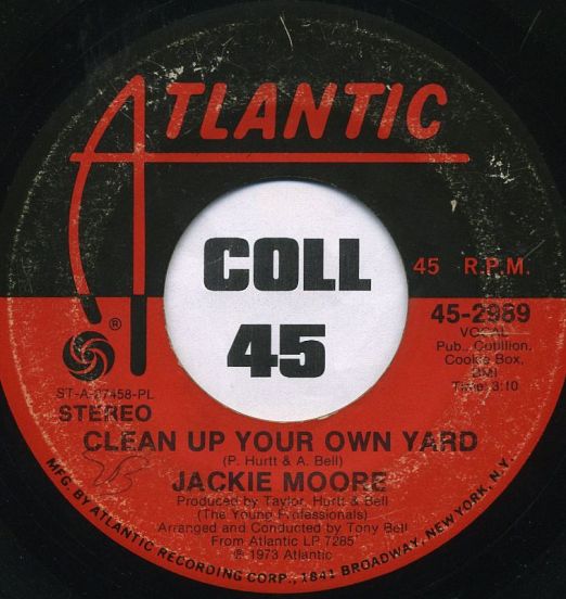 JackieMoore-CleanUpYour...B