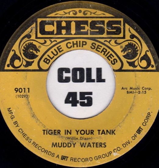 MuddyWaters-TigerInYourTank