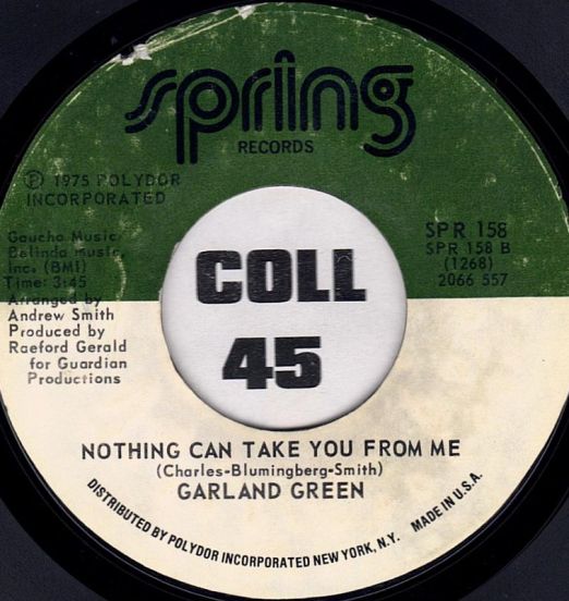 GarlandGreen-NothingCanTakeYouFromMe