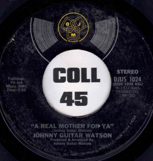 JohnnyGuitarWatson-ARealMother...A