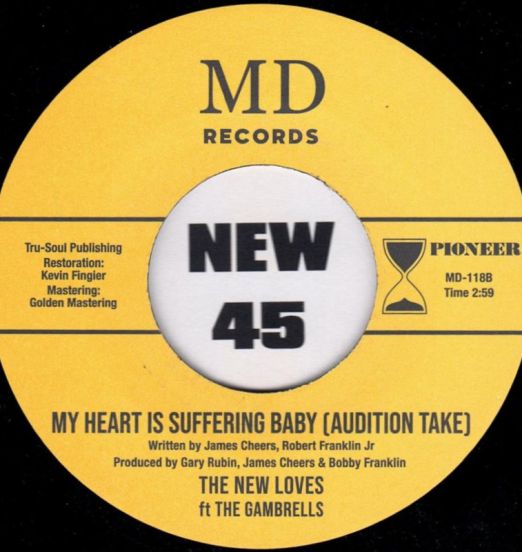 TheNewLovesFtTheGambrells-MyHeartIsSufferingBabyB