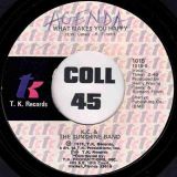 KC & The Sunshine Band – That’s The Way (I Like It) b/w What Makes You Happy – T.K. 7″