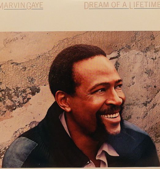 Marvin Gaye - Dream Of A Lifetime - Columbia US LP