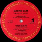 Marvin Gaye – Dream Of A Lifetime – Columbia US LP