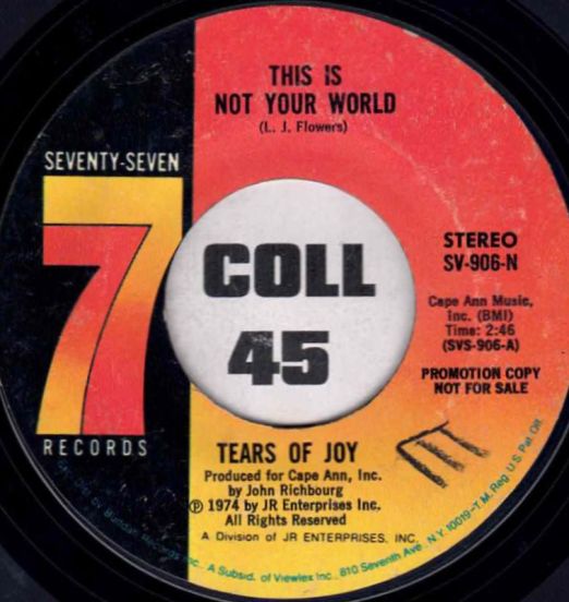 Tears Of Joy - This Is Not Your World Stereo b/w Mono - Seventy-Seven 7"