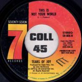 Tears Of Joy – This Is Not Your World Stereo b/w Mono – Seventy-Seven 7″