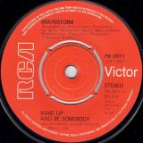 Brainstorm – Wake Up And Be Somebody b/w We Know A Place – Rca UK 7″