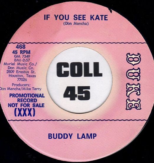 BuddyLamp-IfYouSeeKateB