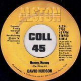 David Hudson – Honey, Honey b/w Come On Back Baby – Alston 7″