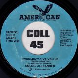Goldie Alexander – I Wouldn’t Give You Up b/w Instrumental – Amer-Can 7″