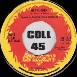 Toots & The Maytals – In The Dark b/w Sailing On – Dragon UK 7″