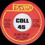 David T. Walker – My Baby Loves Me b/w Can I Change My Mind – Revue 7″