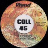 The Independents – Show Me How b/w The First Time We Met – Wand 7″