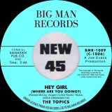 *PREORDER* The Topics – Hey Girl (Where Are You Going?) b/w The Metrics –  Wishes – Big Man UK 7″