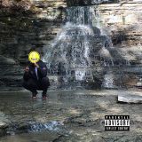 Camoflauge Monk – 42​.​8864° N 78​.​8784° W – Lowtech AT LP
