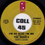The Ebonys – I’m So Glad I’m Me b/w Do You Like The Way I Love – PIR 7″