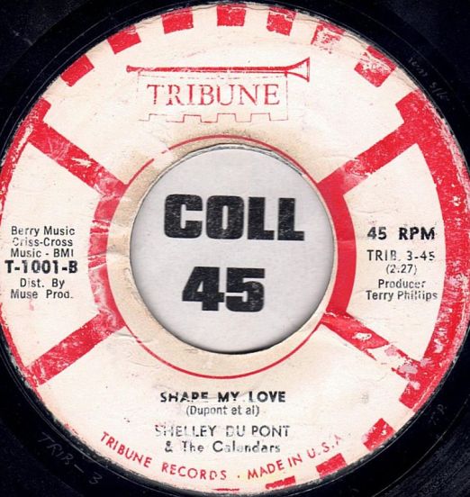 ShapeMyLove-ShelleyDuPont&TheCalendarsB