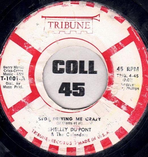 Shelley Du Pont & The Calendars - Stop Driving Me Crazy b/w Share My Love - Tribune 7"