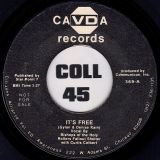 Bishops Of The Holy Rollers Fallout Shelter – It’s Free b/w Johnnie Taylor – Something To Remember Her By – Cavda 7″