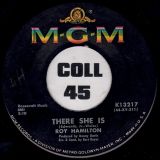 Roy Hamilton – The Panic Is On b/w There She Is – Mgm 7″