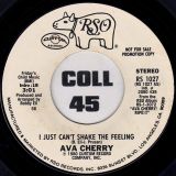 Ava Cherry – I Just Can’t Shake The Feeling STEREO b/w MONO Version – Rso DJ 7″