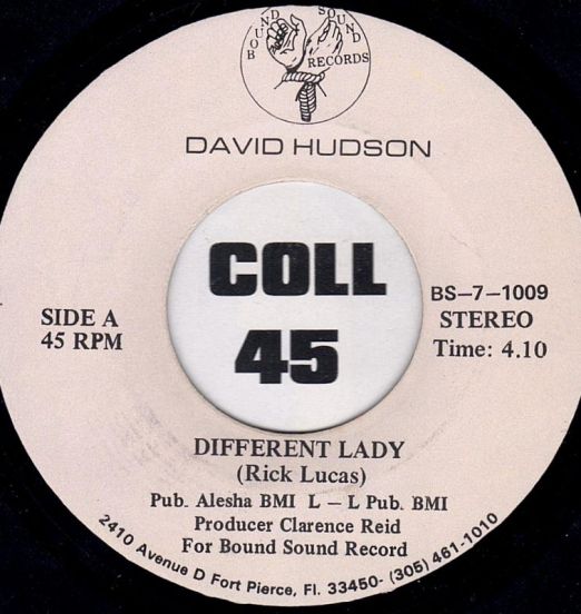 David Hudson – Different Lady b/w How Can You Mend A Broken Heart – Bound Sound 7"