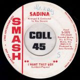Sadina – Who Am I Kiddin’ b/w I Want That Boy – Smash DJ 7″