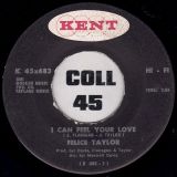 Felice Taylor – I Can Feel Your Love b/w Good Luck – Kent 7″