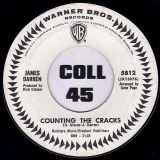 James Darren – Counting The Cracks b/w Where Did We Go Wrong – Warner Bros DJ 7″