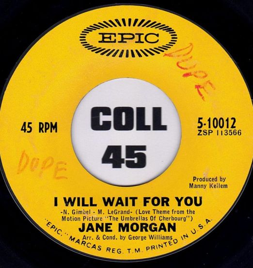 JaneMorgan-IWillWaitForYou