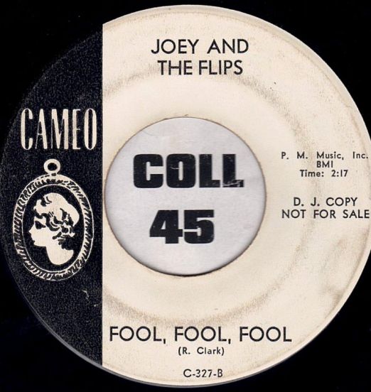 JoeyAndTheFlips-FoolFoolFool