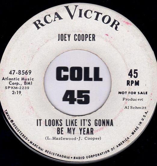 JoeyCooper-ItLooksLikeIt'sGonnaBeMyYearB