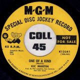 Ric Martin – I Traveled The Road b/w One Of A Kind – MGM DJ 7″