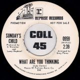 Sunday’s Child – What Are You Thinking b/w To Love Somebody – Reprise DJ 7″