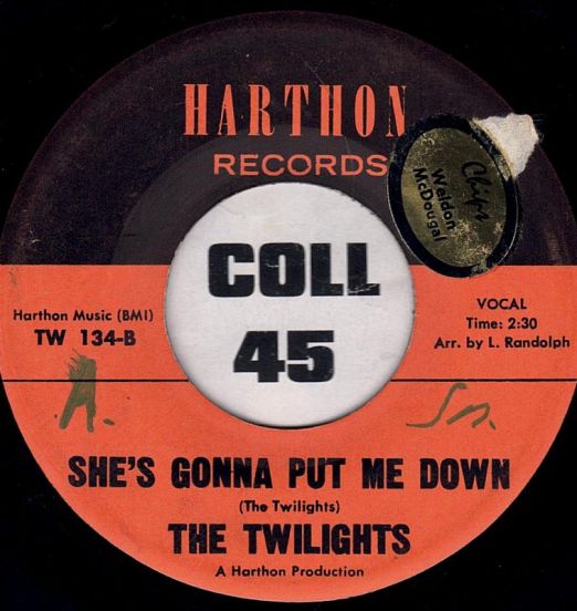 The Twilights - She's Gonna Put Me Down b/w It's Been So Long - Harthon 7"