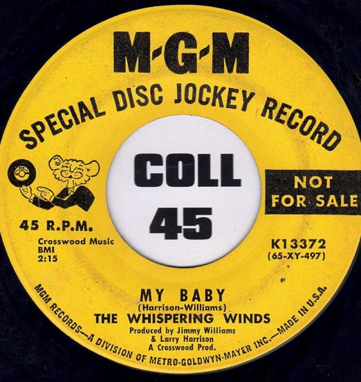 The Whispering Winds - My Baby b/w The First 100 Years - MGM DJ 7"