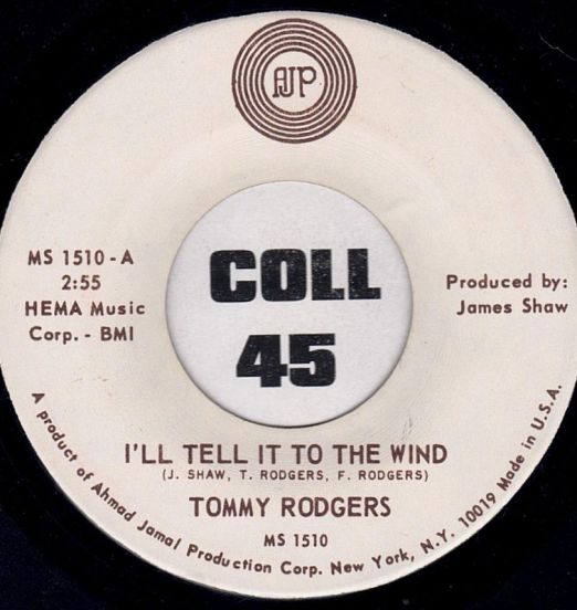 TommyRodgers-I'llTellItToTheWind