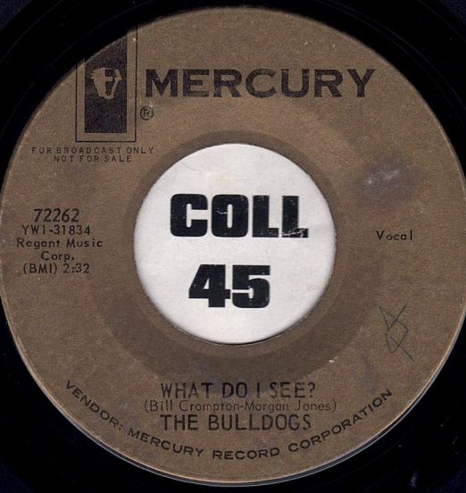 The Bulldogs - What Do I See b/w John Paul George And Ringo - Mercury DJ 7"