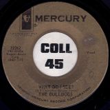The Bulldogs – What Do I See b/w John Paul George And Ringo – Mercury DJ 7″