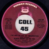 Gladys Knight And The Pips – I’ve Got To Use My Imagination b/w I Can See Clearly Now – Buddah 7″