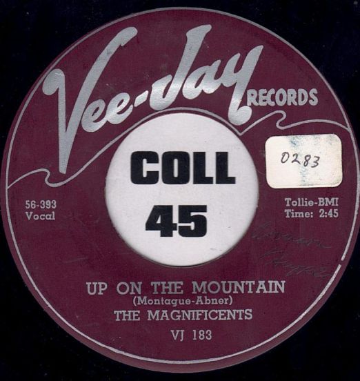 The Magnificents - Up On The Mountain b/w Why Did She Go - Vee Jay 7"