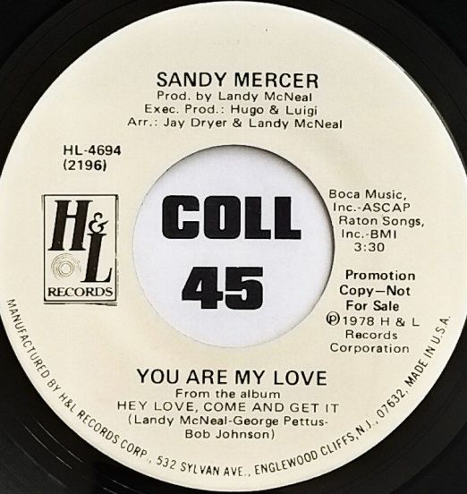 Sandy Mercer - You Are My Love b/w Play With Me - H & L 7"