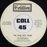 C & The Shells – Good Morning Starshine b/w On Your Way Home – Cotillion 7″