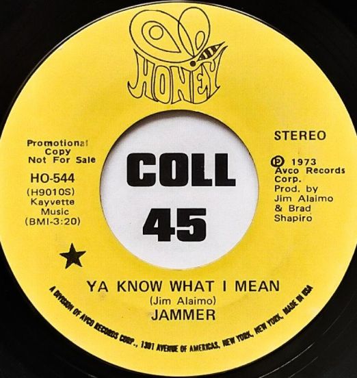 Jammer - Ya Know What I Mean (Stereo) b/w Ya Know What I Mean (Mono) - Honey Records 7"