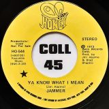 Jammer – Ya Know What I Mean (Stereo) b/w Ya Know What I Mean (Mono) – Honey Records 7″