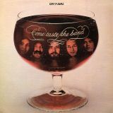 Deep Purple – Come Taste The Band – Warner Bros. LP